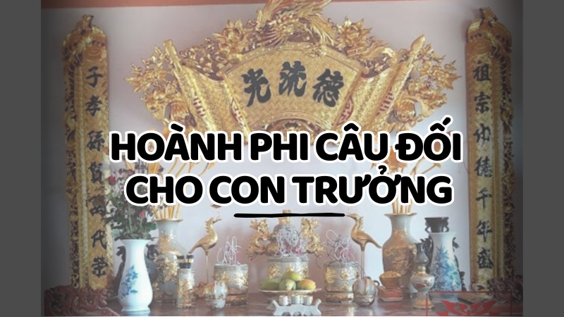 Hoanh phi cau doi cho con truong