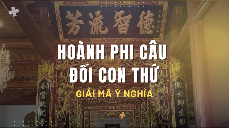 Hoanh phi cau doi con thu Giai ma y nghia