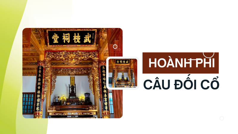 Mau Hoanh Phi Cau Doi Co Mang Dam Gia Tri Van Hoa